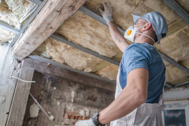 Best Specialty Insulation in Hasson Heights, PA