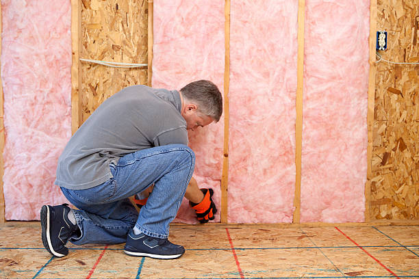 Best Insulation Installation Services in Hasson Heights, PA