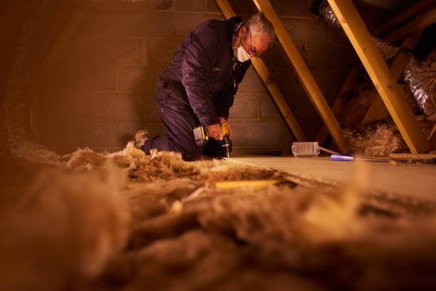 Best Types of Insulation in Hasson Heights, PA
